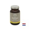 Стрес и добро настроение - Златен корен, 60 капсули Mattisson Healthstyle - Image 2